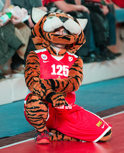 Тигр Лешка: Мне приятно, когда играют наши местные ребята